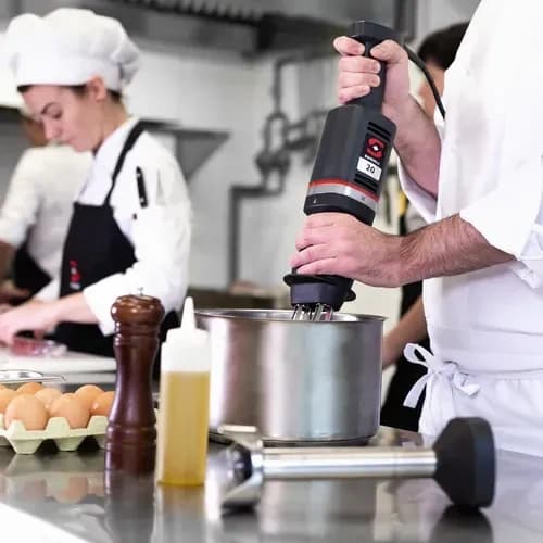 Sammic MB-21 (3030764) Combination Mixer Hand Whisk & Immersion Blender 15 liters (15.85 qt.) capacity hand whisk — main image