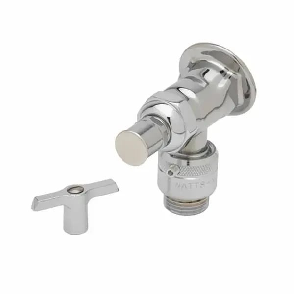 T&S B-0737-POL Single Hole Wall Mount Sill Faucet