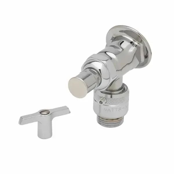 T&S B-0737-POL Single Hole Wall Mount Sill Faucet — main image