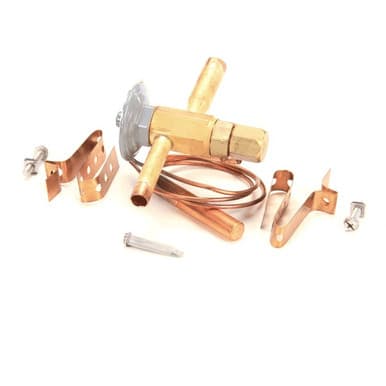 True 813302 Valve ExpansionEbfse-Aazp, Inlet Strain — main image