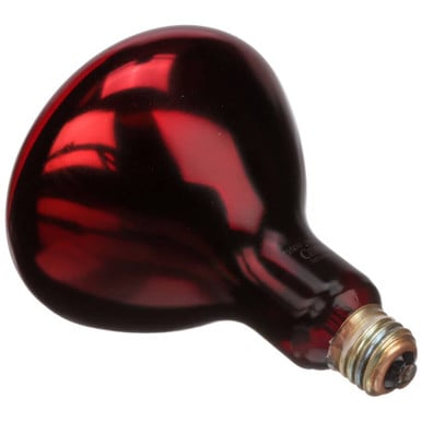 Hatco 02.30.068.00 Lamp-250W, 120V, Red, Inf, Ctd