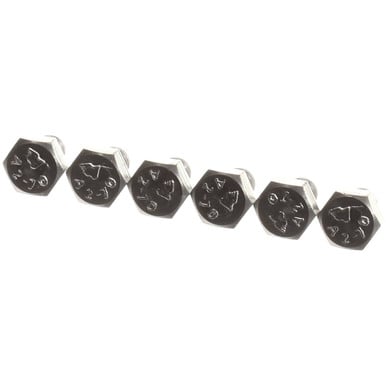 Rational 1008.0762P Hex Screw M8X10 A2