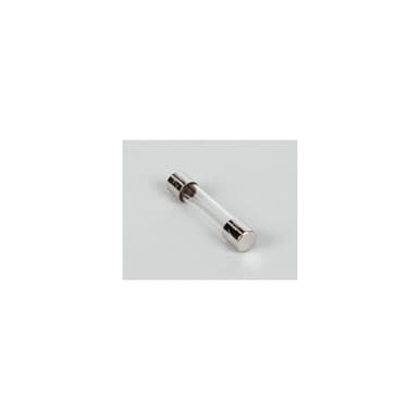 Hoshizaki 4A0893-07 Fuse Agc 10 — main image