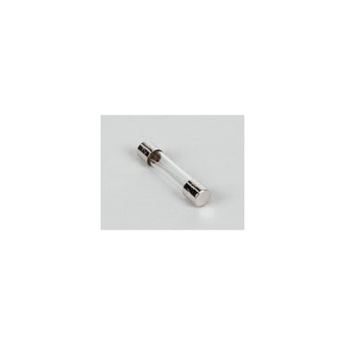 Hoshizaki 4A0893-07 Fuse Agc 10