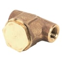 Cleveland Range 19870 Line Strainer