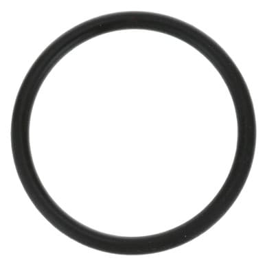Hoshizaki 7611-G035 O-ring — main image