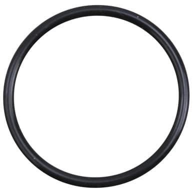 HOSHIZAKI 7616-P048 O-Ring — main image