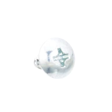 Hoshizaki 7P31-0408 Zinc Screw — main image