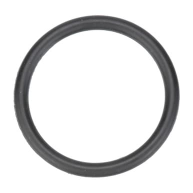 HOSHIZAKI 4A1234-01 O-Ring — main image