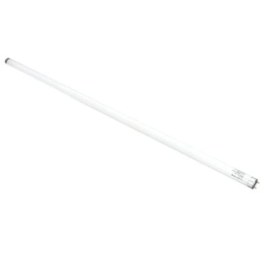 True 801922 Lamp, F025T8 Tl741 36High Spectrum