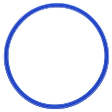 Rational 5012.0566P Gasket - Inspection Lid